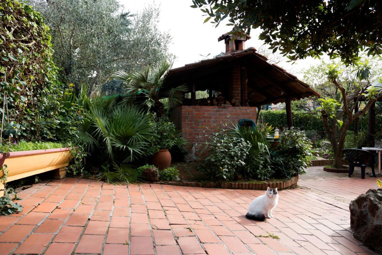 L'Acchiappasogni Bed And Breakfast Colle di Fuori Exteriör bild